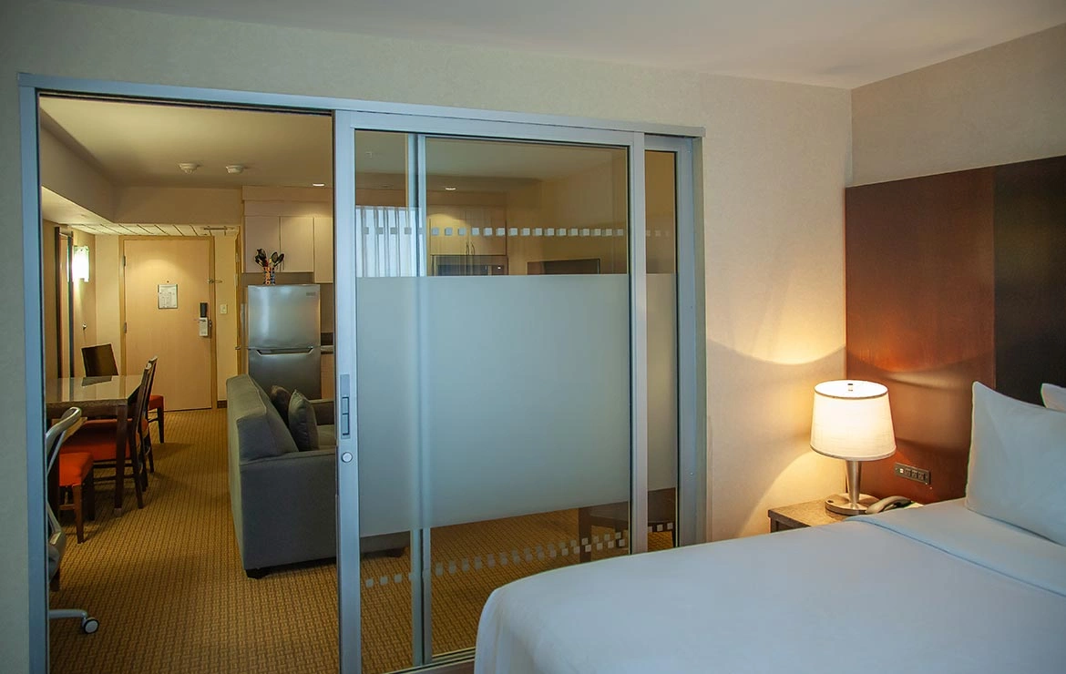 Business Suite 1 King Bed with Sofa Bed