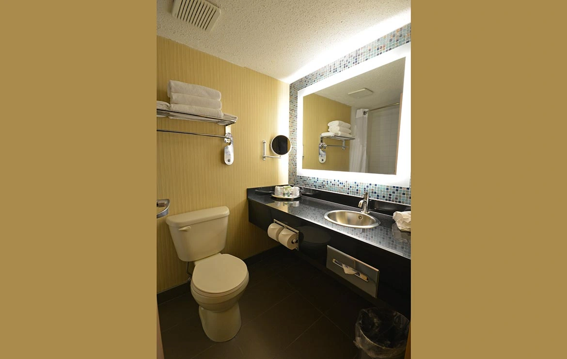 Premium Room 1 King 