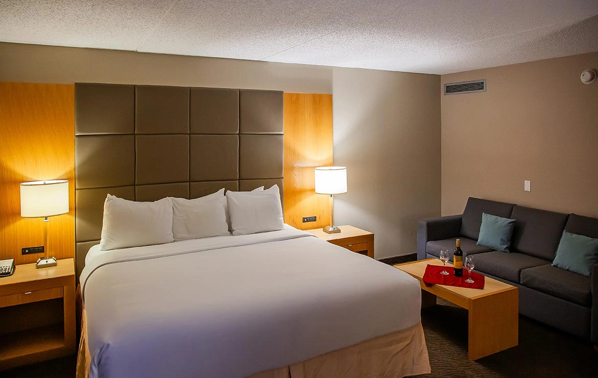Premium Room 1 King Accessible 