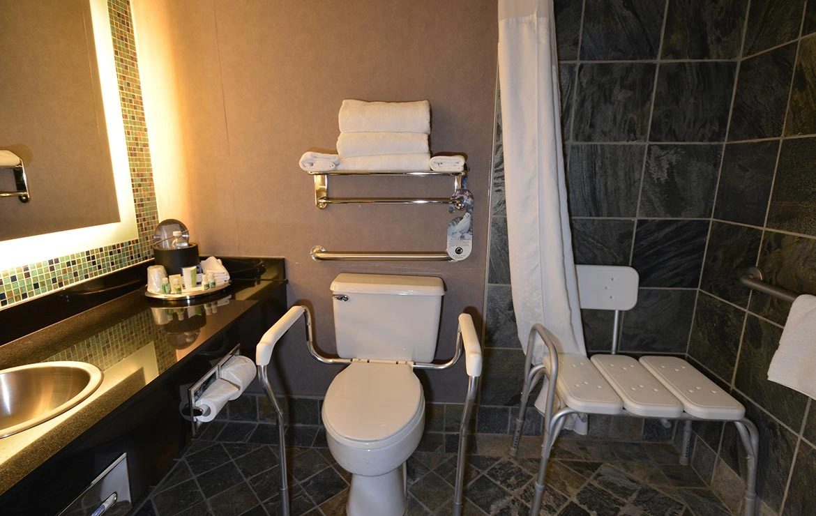 Premium Room 1 King Accessible 